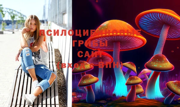 амф Апатиты