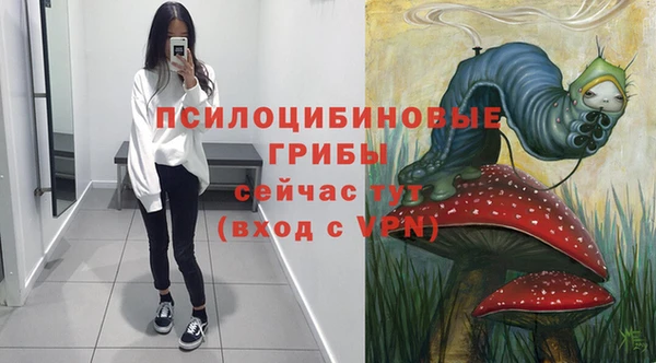 метадон Новозыбков