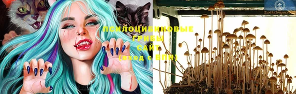 гидропоника Новодвинск